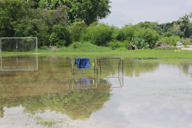 官方：拜仁女足与日本女足国脚谷川萌萌子续约至2029年