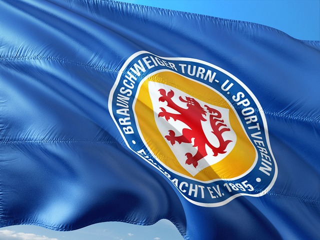迪正