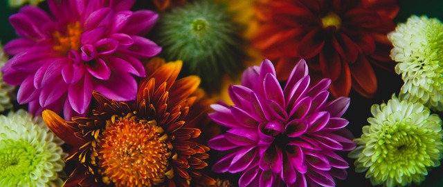 随着穆科科 随着穆科科