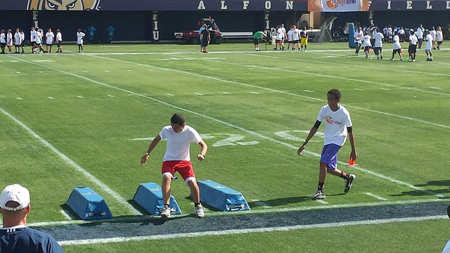 狮已经解散 狮已经解散